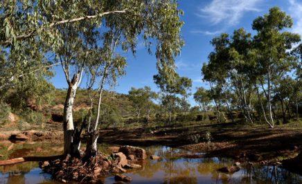 Australian landscape