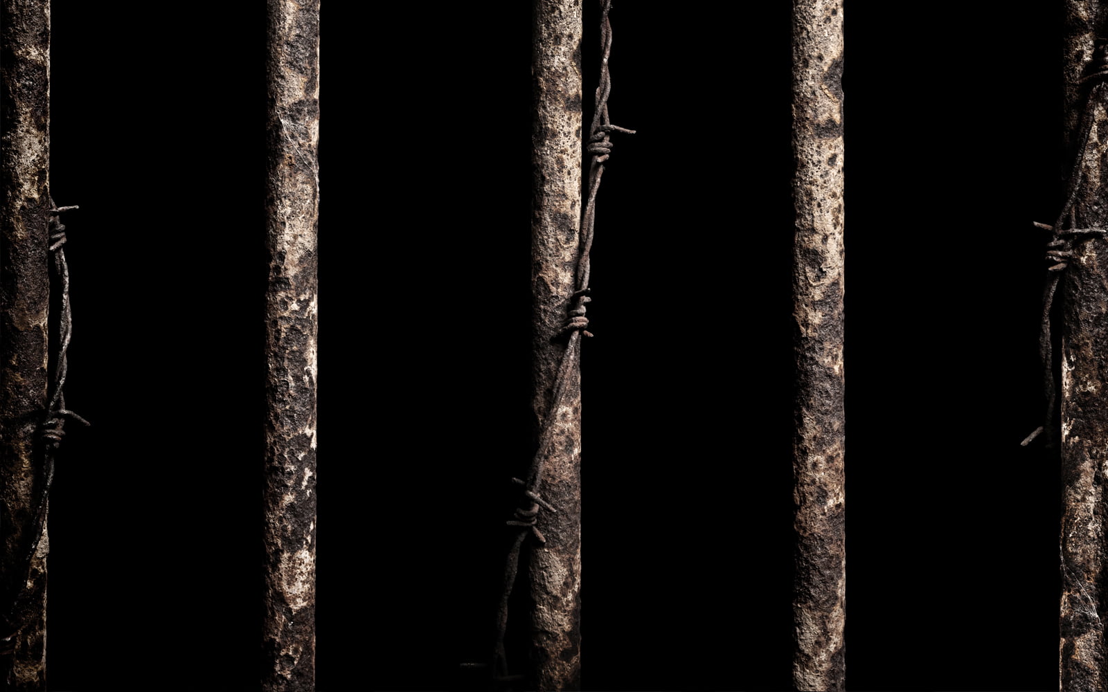 Rusty cage bars with barbed wire.