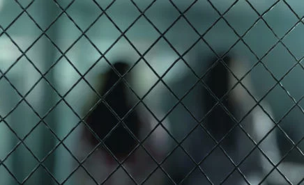 Blurred outline of two women with backs turned, behind fencing