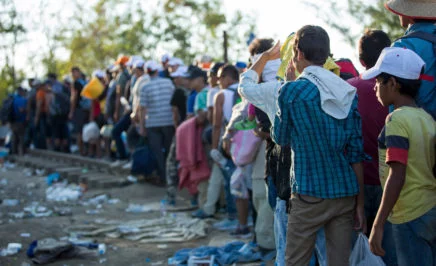 Asylum seekers wait at the Macedonia border near the village of Idomeni, Greece, 24 August 2015