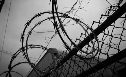 Barbed wire
