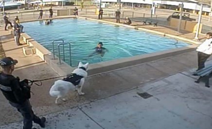 A still from footage showing an officer holding a guard dog near a young girl in a pool