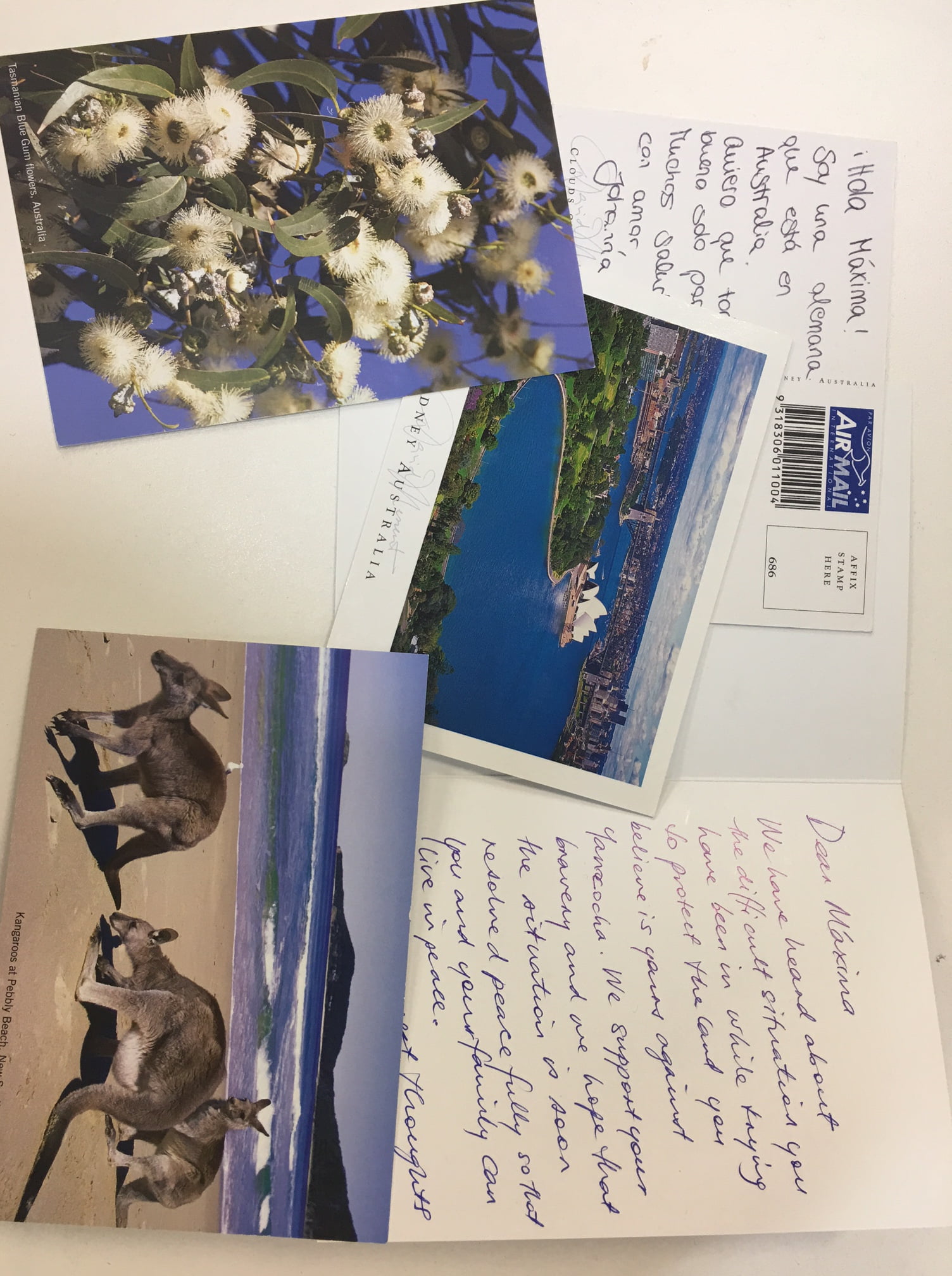 Letters written for W4R Sydney