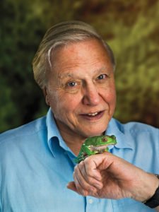 Sir David Attenborough © Flickr/Photographer unknown