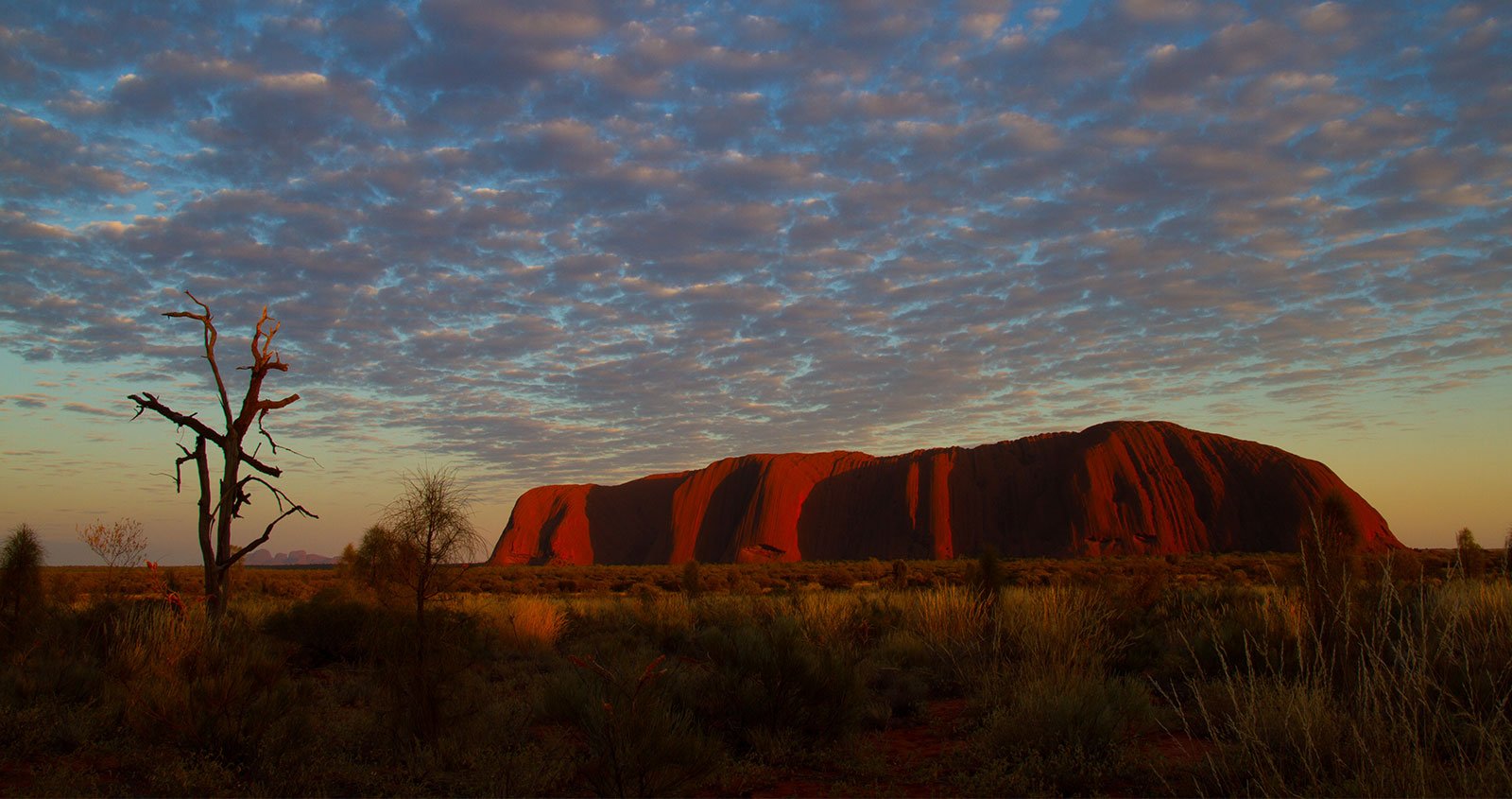 Picture of Uluru