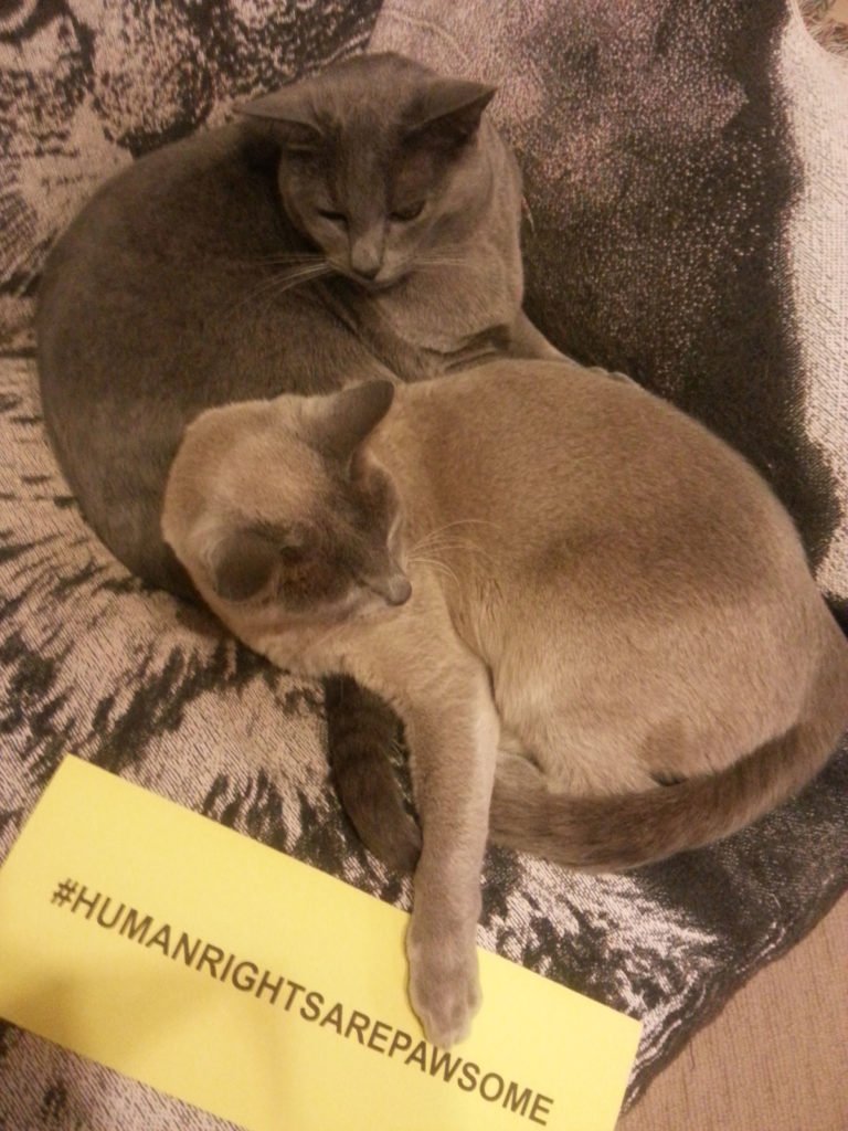Furry friends defending human rights.
