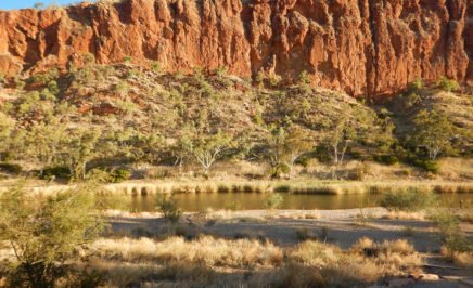 A photograph showing the dramatic landscape to be found on the Larapinta Trail in Australia's Northern Territory. The image shows red rock in the background looming over a valley of trees and water. The trail itself can be seen in the foreground.