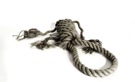 A hangman's noose on a white background
