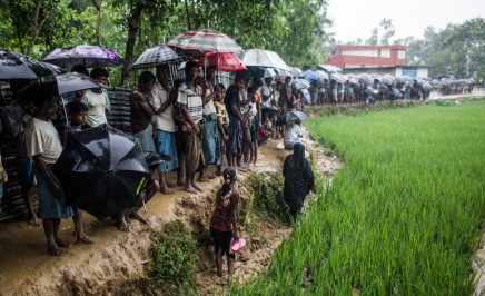 a long line of people standing in a lush, wet field and mud, holding umbrellas