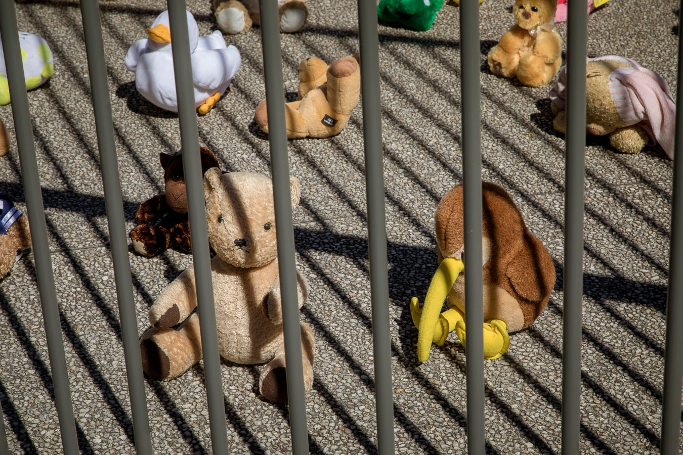 Image of stuffed teddies behind metal bars