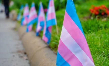 A line of trans flags in the grass