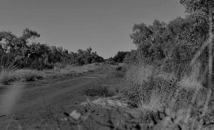 Black and white landscape