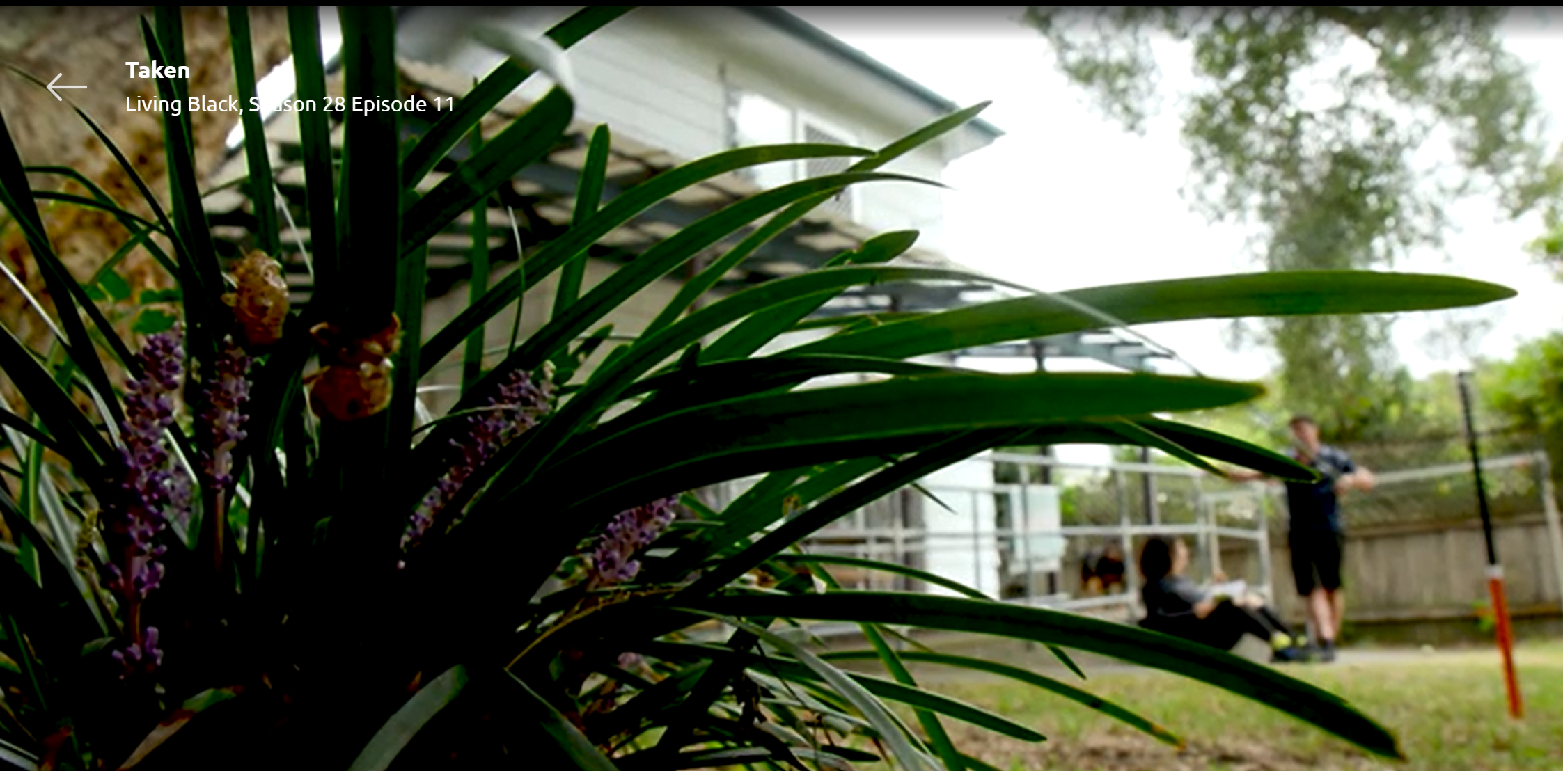 Living Black - Taken Indigenous Issues Reporting Finalist